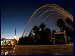 City of Arts and Sciences by night 29 - L'Umbracle